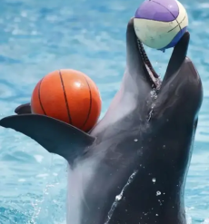 6899e1789e543 6899e1789e543