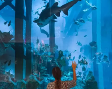 689b06e8427be 689b06e8427be