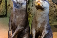 689c503fd75b1 689c503fd75b1