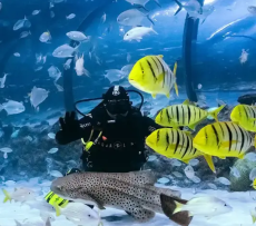 689c5178dd620 689c5178dd620