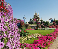 68a6d997b8b6a 68a6d997b8b6a