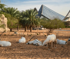 68ac08752f7b6 68ac08752f7b6